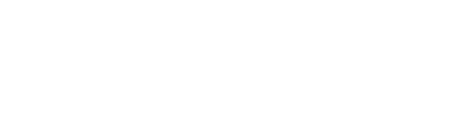 Bertone Design